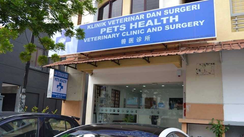 2023 Guide 11 Best Vet Clinics in KL and Selangor